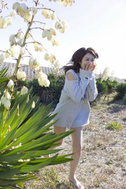老木匠的三个女儿电视剧免费观看